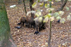 Killikus&reg; Fotographie